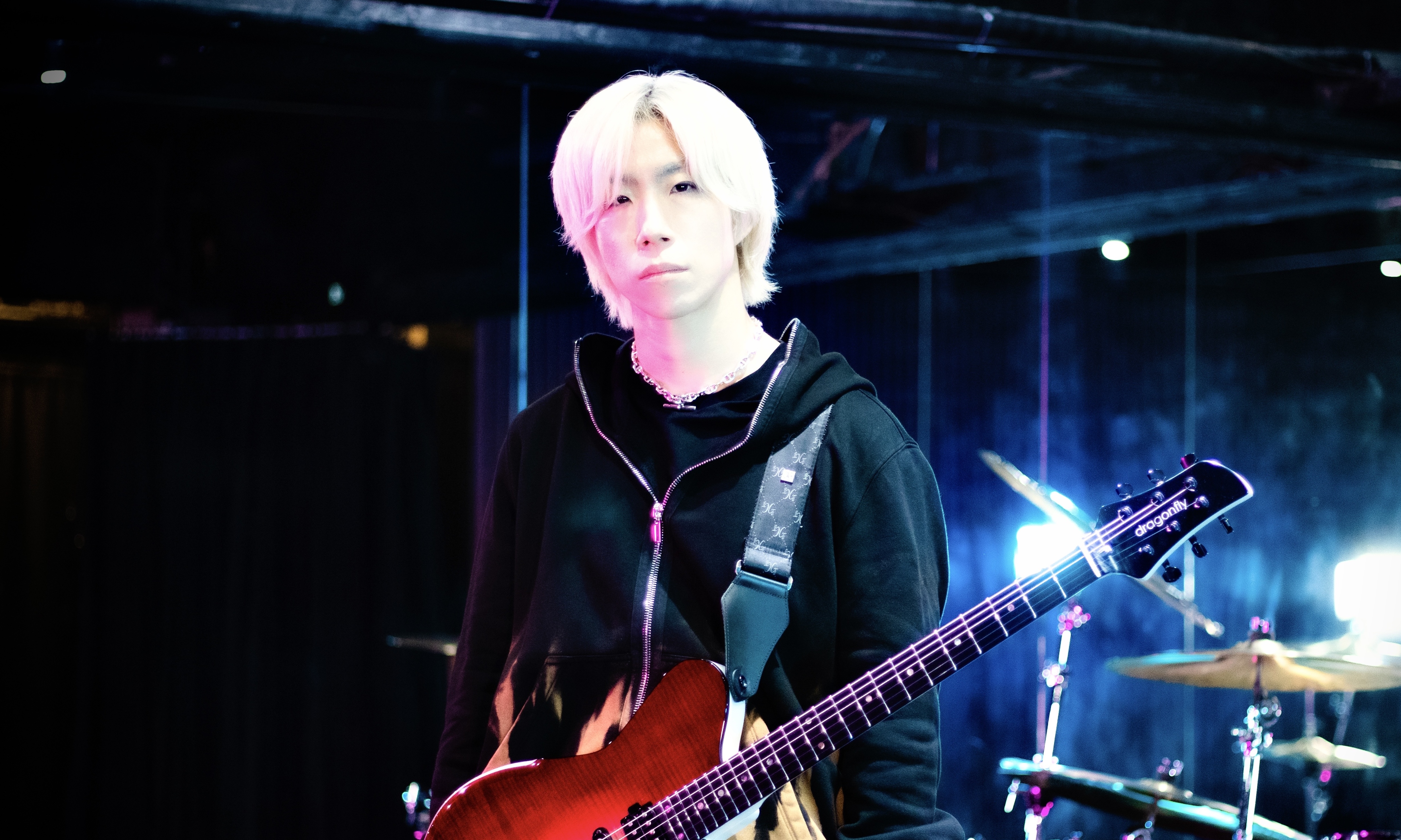 Yoma（The Winking Owl）の写真